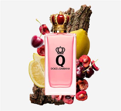 dolce and gabbana q dupe|q by dolce gabbana perfume.